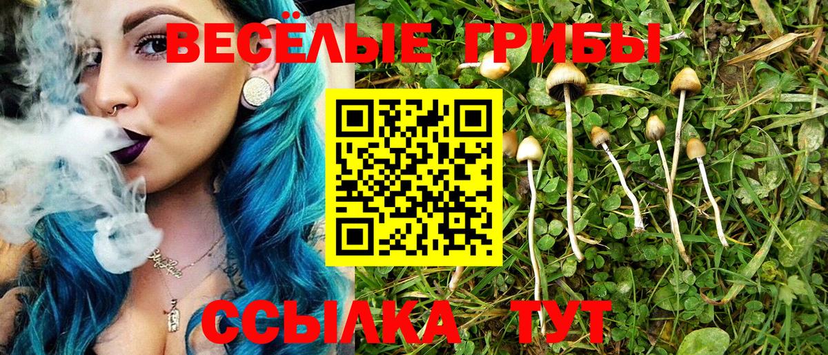 Майский  Псилоцибиновые грибы мицелий  Вход с VPN 